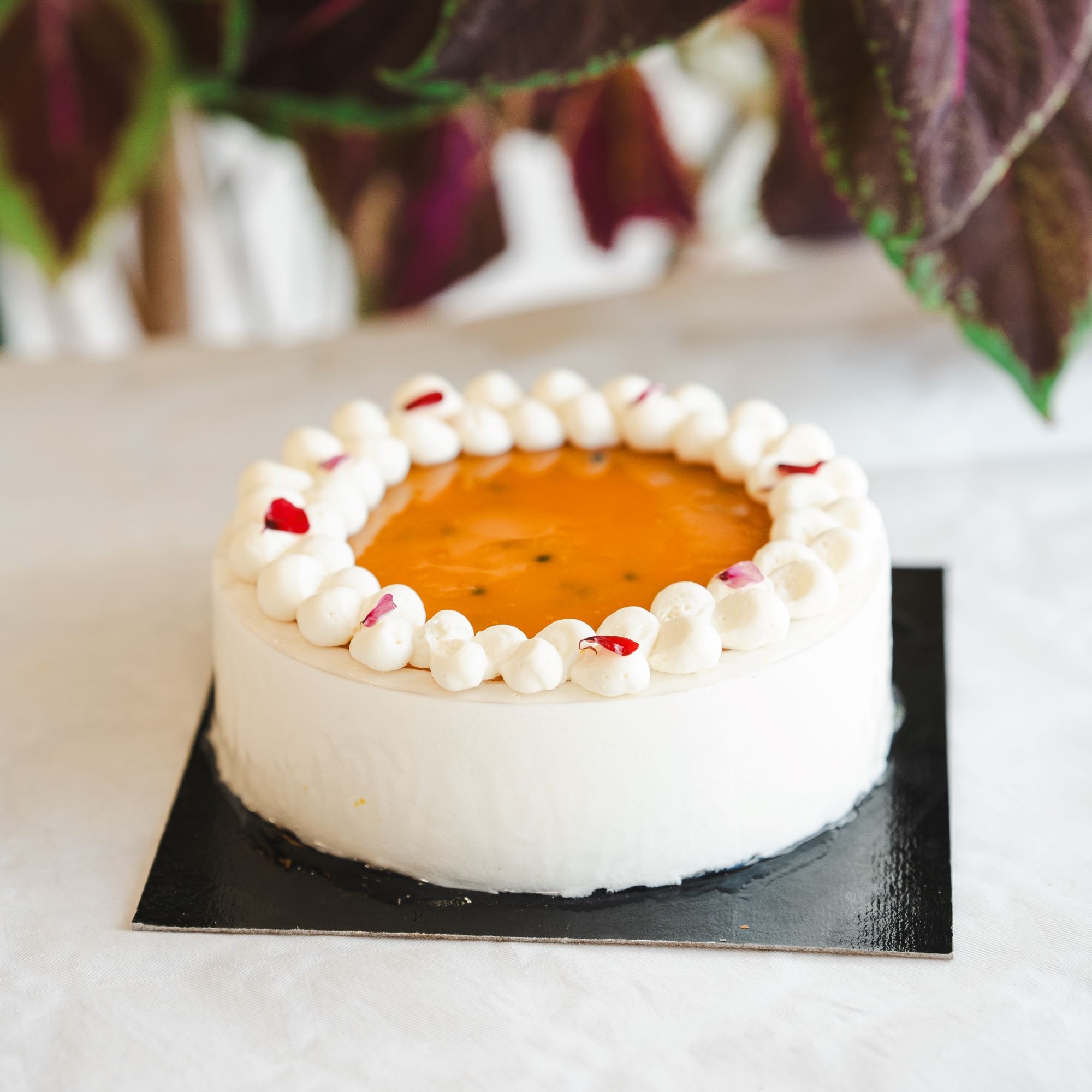 Entremet Passion Coco