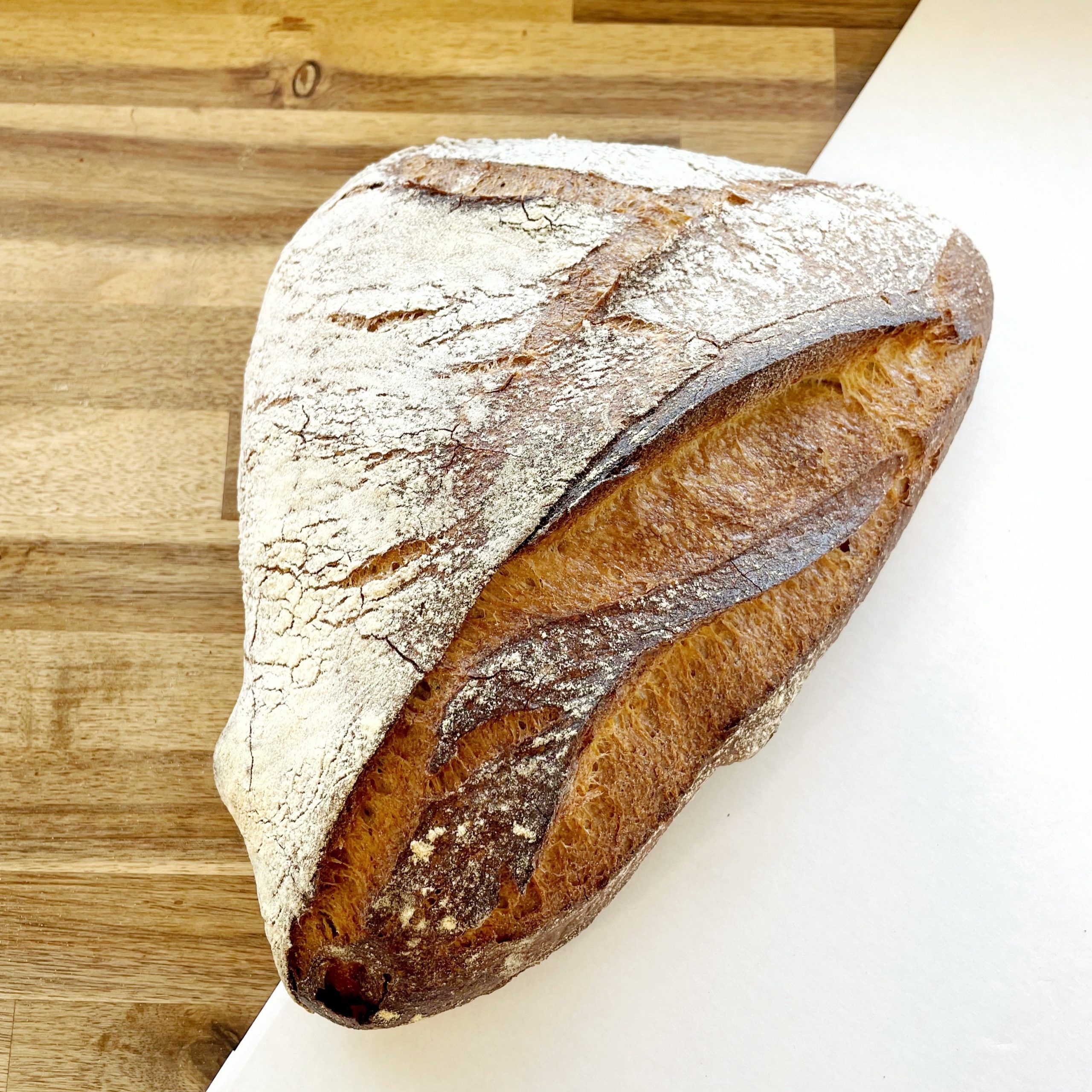 Pain de Lodève