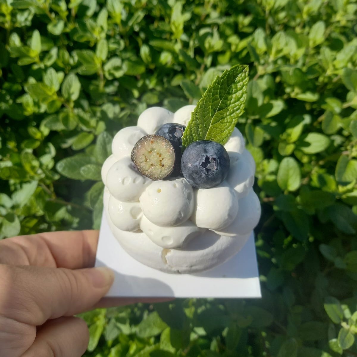 Pavlova Myrtille menthe